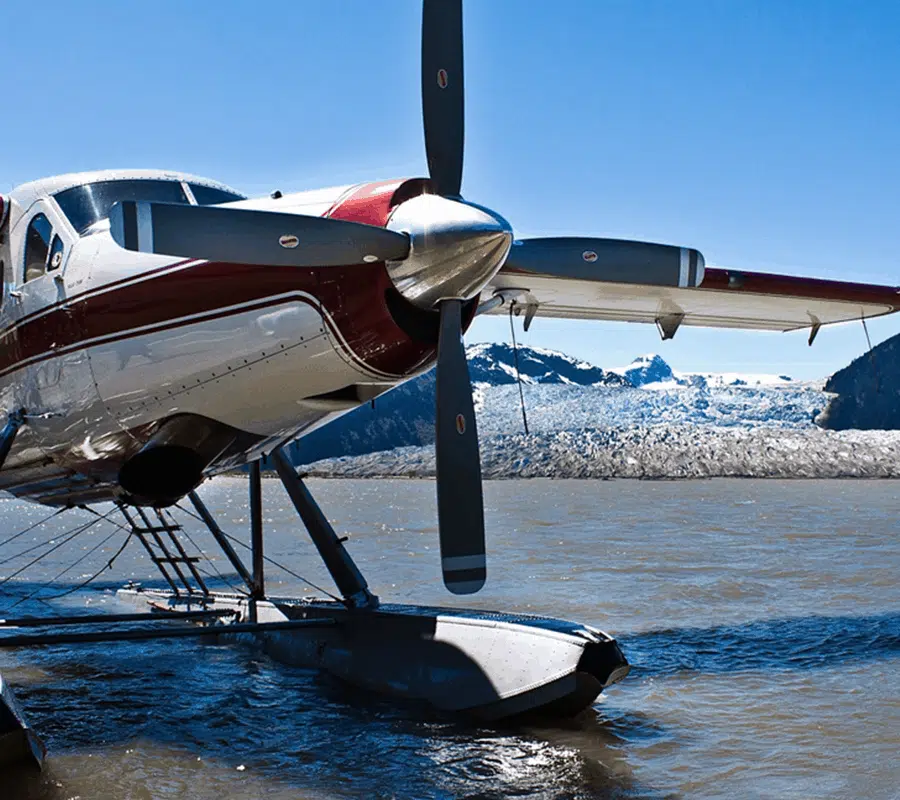 fly-for-us15