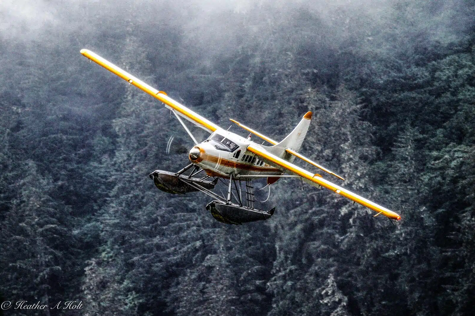 Random Alaskan Shots-7