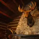 Kelly_Z_TAKULODGE_77