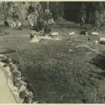 Image 3-8-23